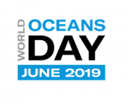 Today We Have został partnerem ONZ w obchodach World Ocean Day 2019.